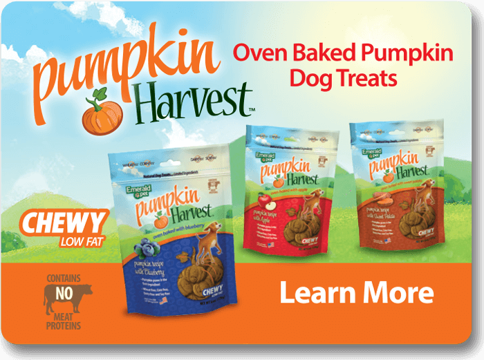 What's New: Pumpkin Harvest oven baked pumpkin dog treats.