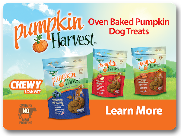 Pumpkin Harvest - Oven Baked Pumpkin Dog Treats - Learn More