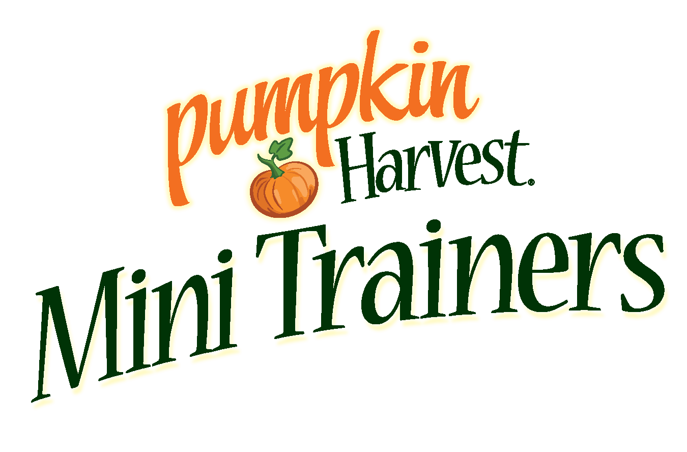 Pumpkin Harvest Mini Trainers title