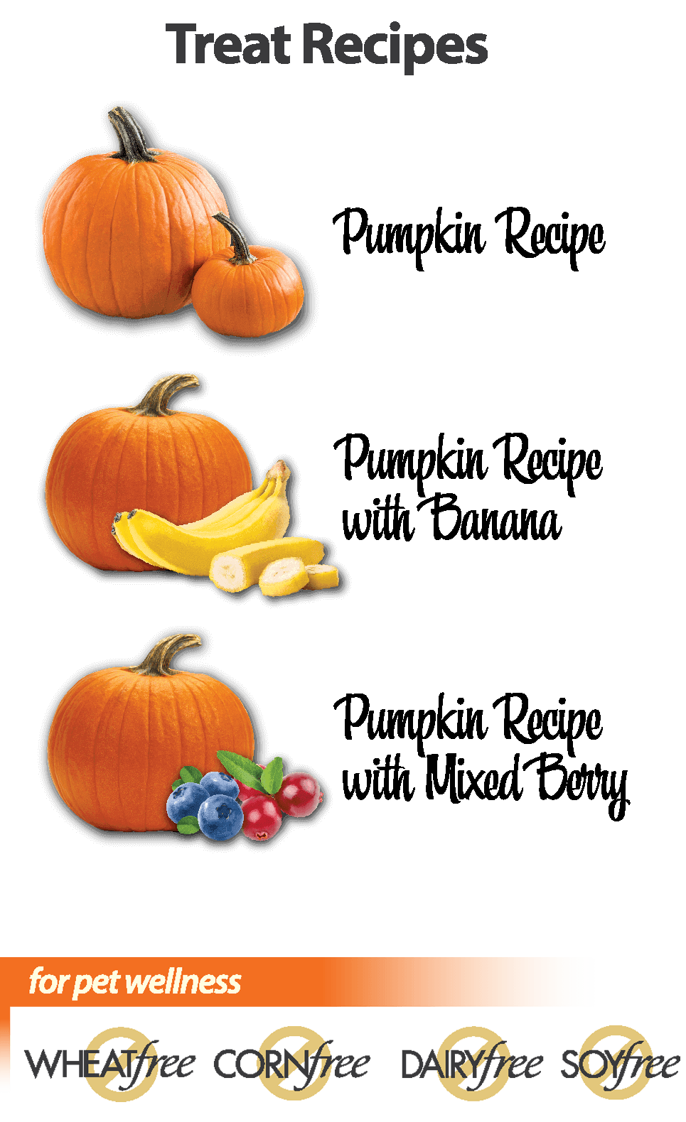 Pumpkin Harvest Mini Trainers Recipe Set