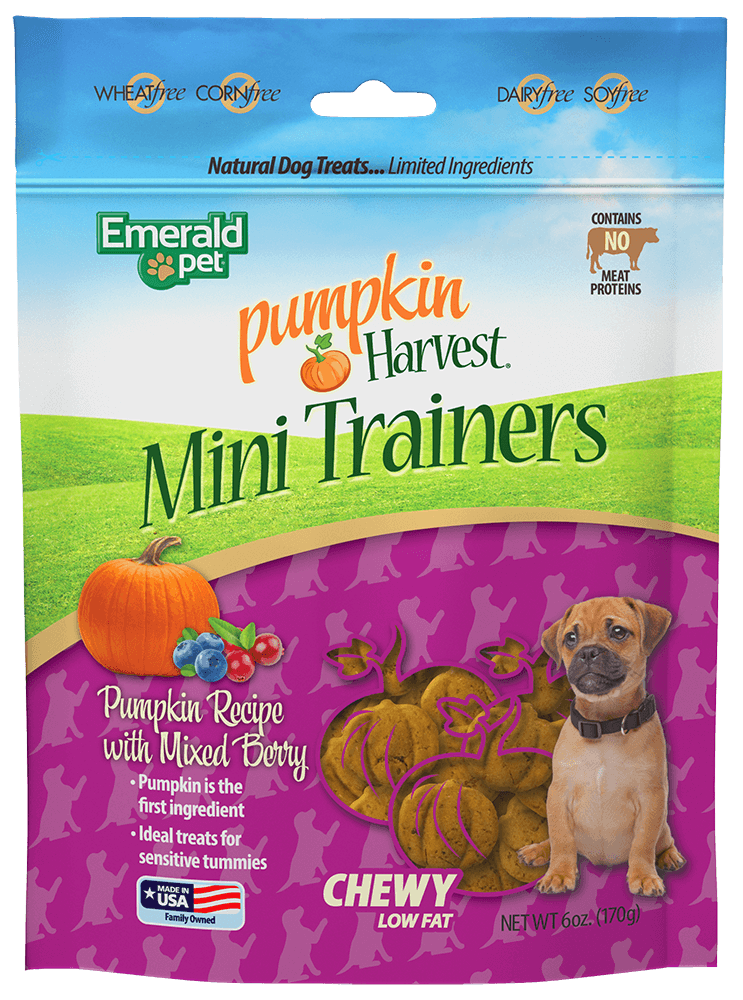 Pumpkin Harvest Mini Trainers - Pumpkin with Mixed Berry Flavor