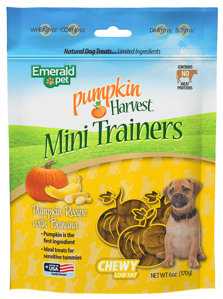 Pumpkin Harvest Mini Trainers - Pumpkin with Banana Flavor
