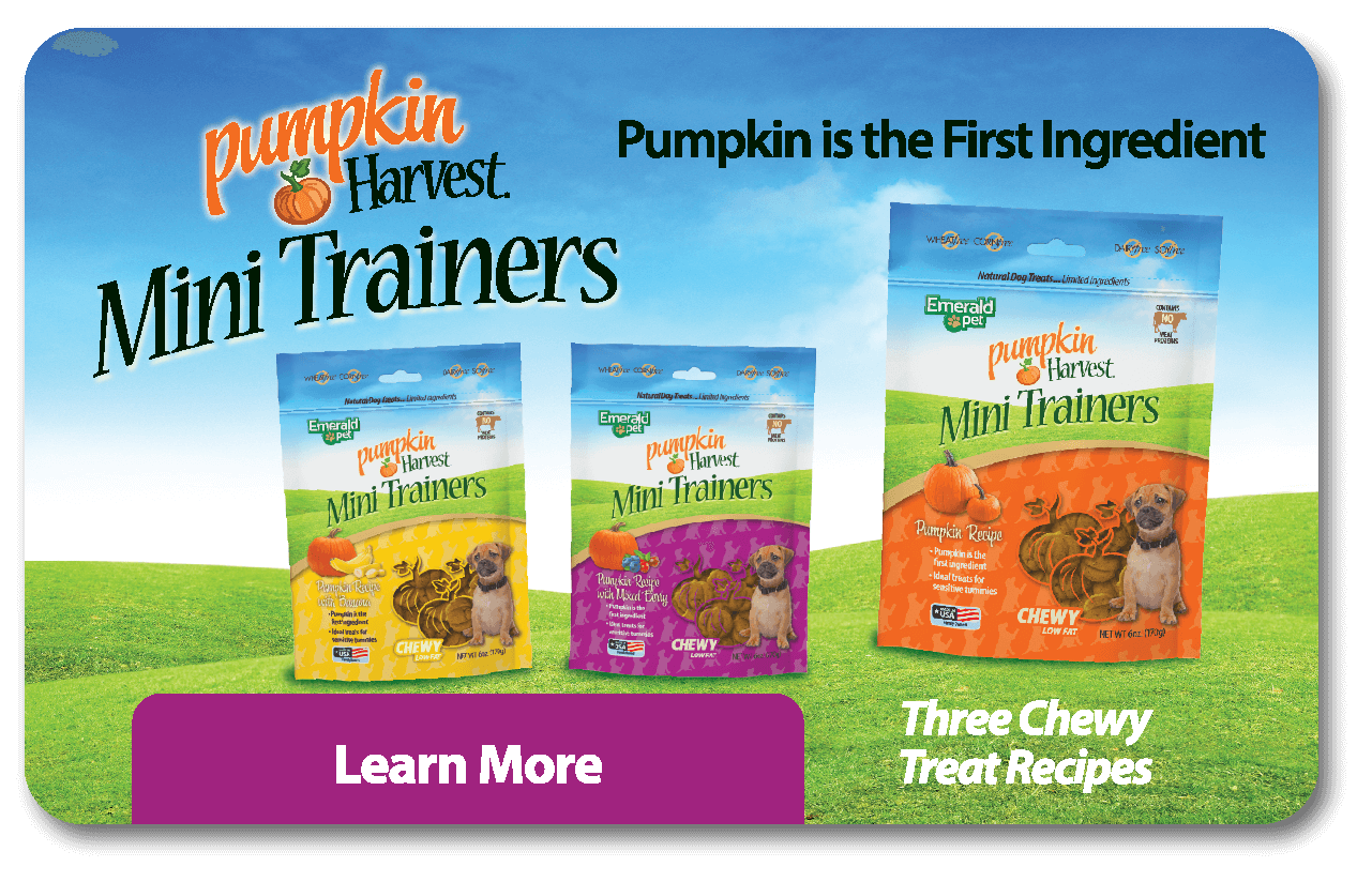 What's New: Pumpkin Harvest Mini Trainers, pumpkin is the first ingredient