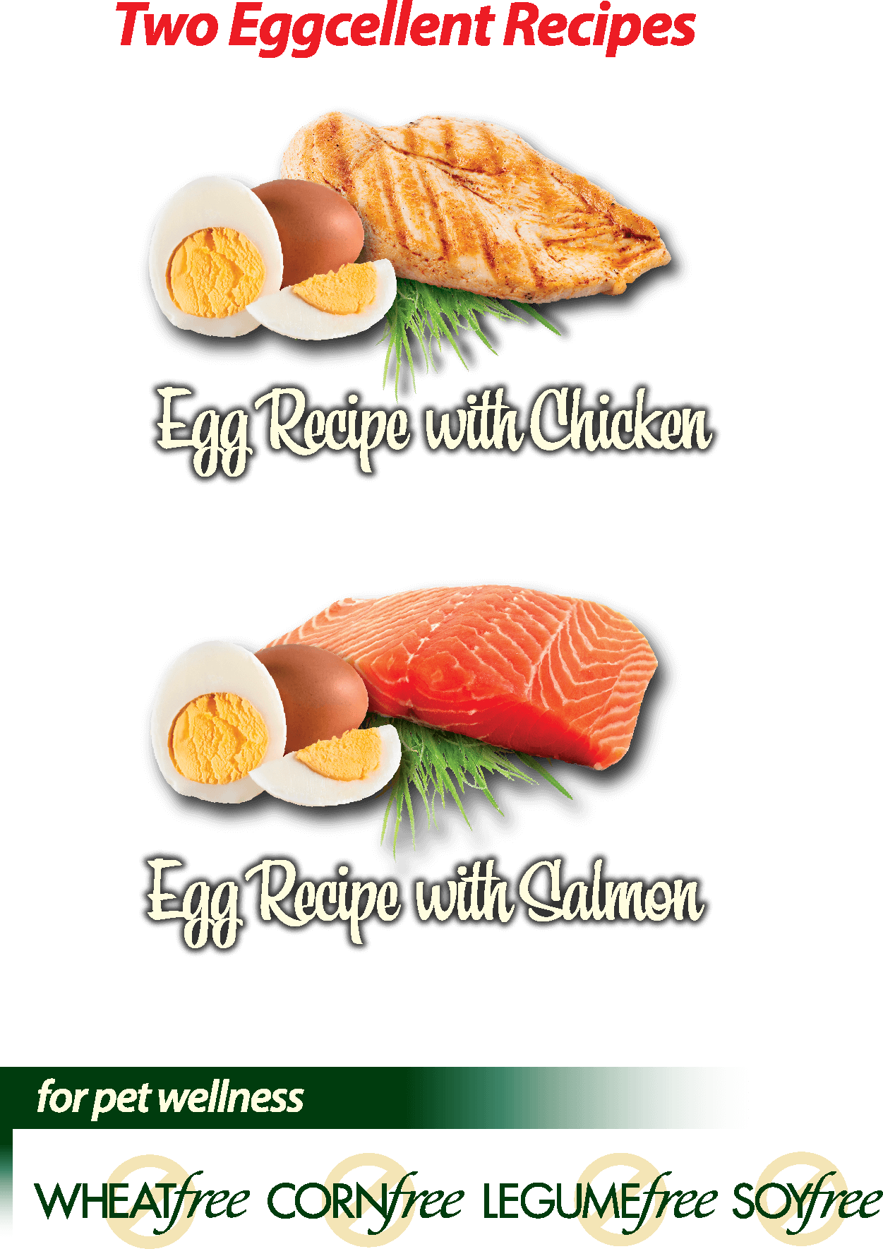 Wholly Egg nutrional information infographic.