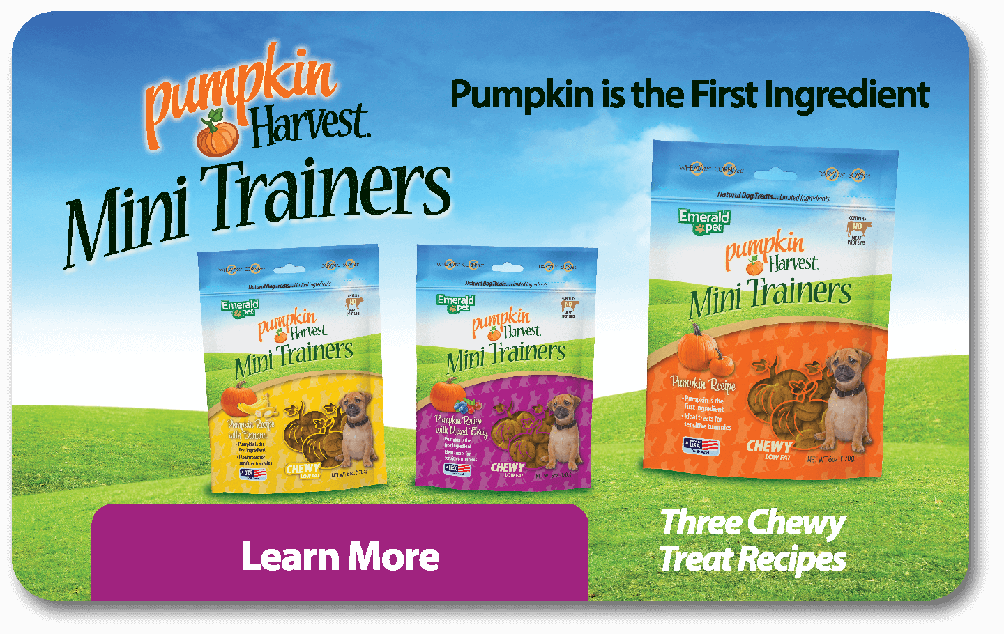 Pumpkin Harvest Mini Trainers