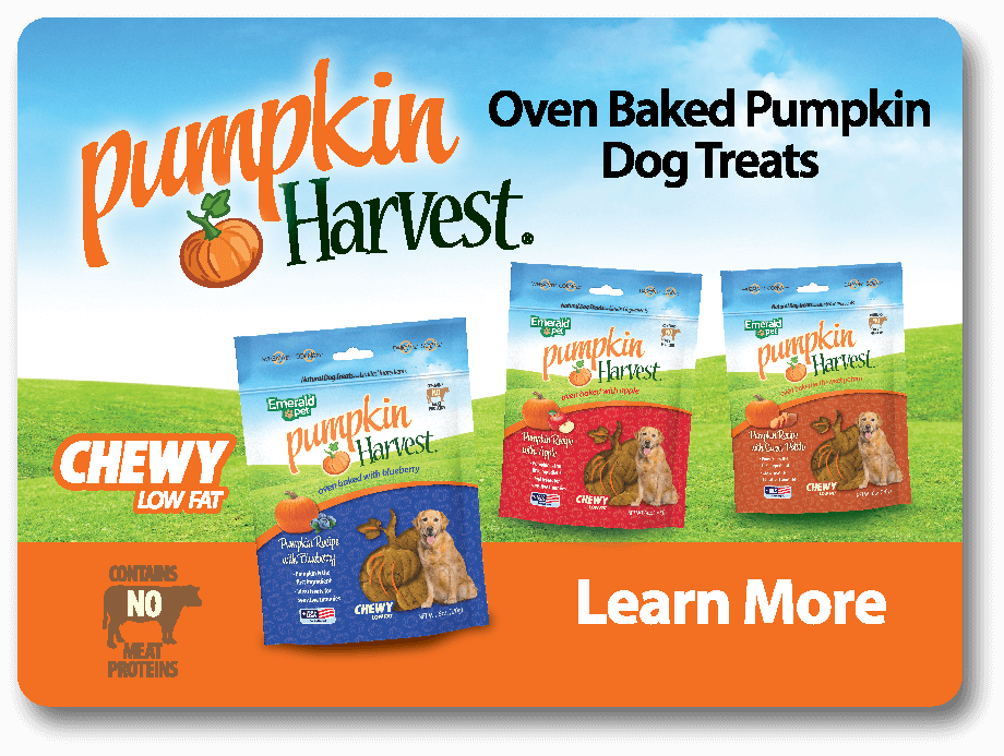 Pumpkin Harvest promotional panel.